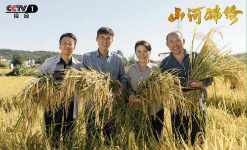 山河锦绣换媳妇第几集
