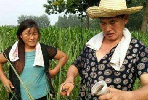 农民朱之文什么学历