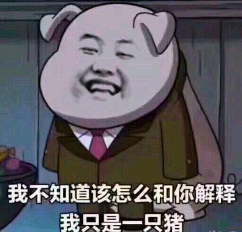 对吧是吧的梗出自哪里