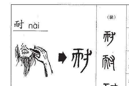 内字和內字有何区别