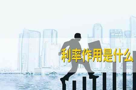 月息单位是什么
