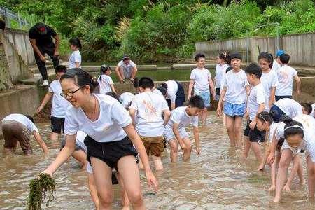浑水的浑组词