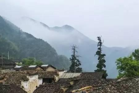半山居雾的居是什么意思