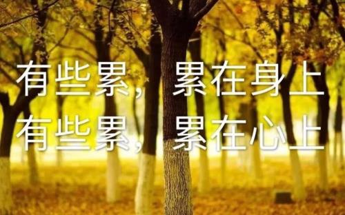 生活太疲惫我也很累是什么歌