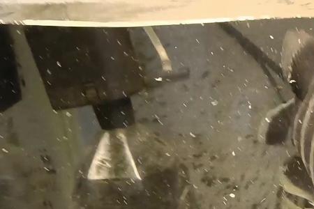 十间鱼变白了怎么补救