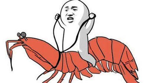 皮皮虾jk什么意思