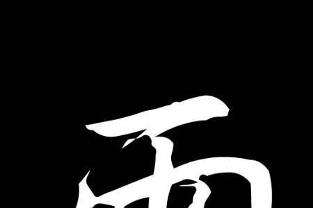 雨字头加个占是什么字