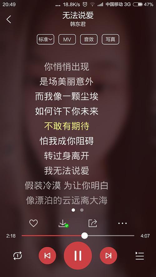 最后的人属于什么类型的歌