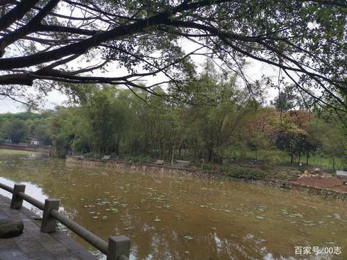 春风吹醒了小河会有怎样的变化