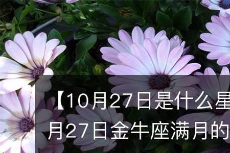 9月13和10月13是什么星座