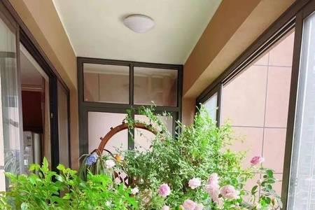 阳台花多须要补光灯吗