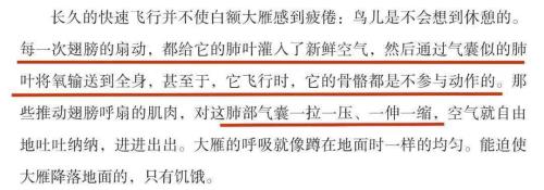 戴脚环的大雁课文原文