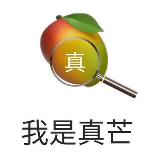 毫无槽点的意思