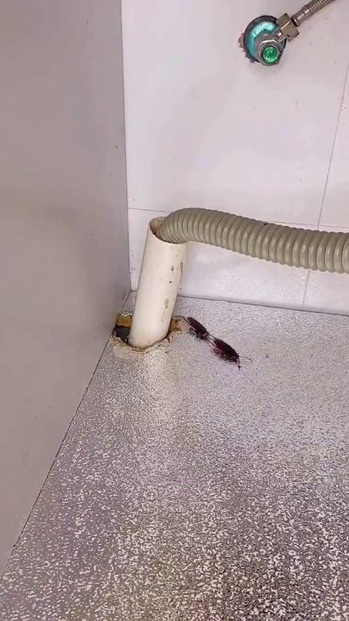 发泡胶堵空调洞以后好拆吗