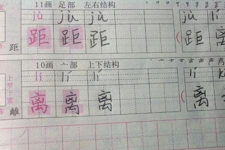 住在组词对吗