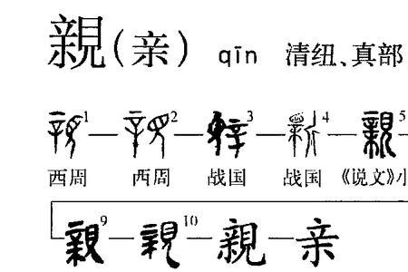 亲的贬义词