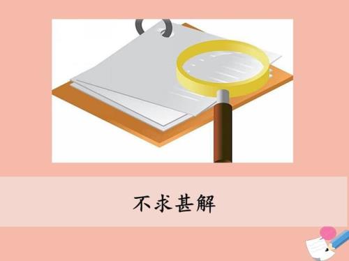 什么什么甚解
