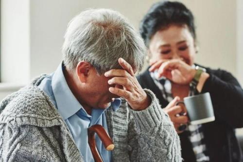 退休后忙起来的办法