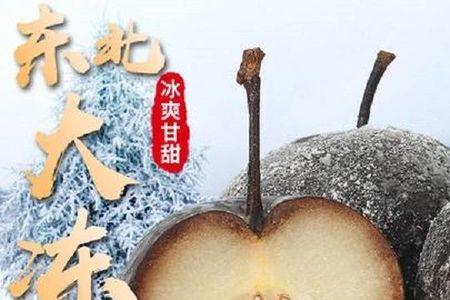 果渣在东北是什么意思