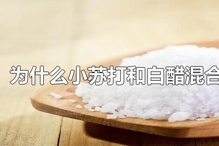 家庭小奇石能用小苏打清洗吗