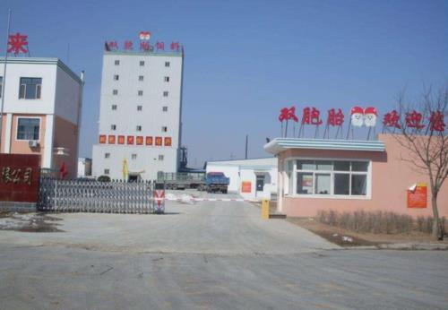 双胞胎集团员工有前途吗