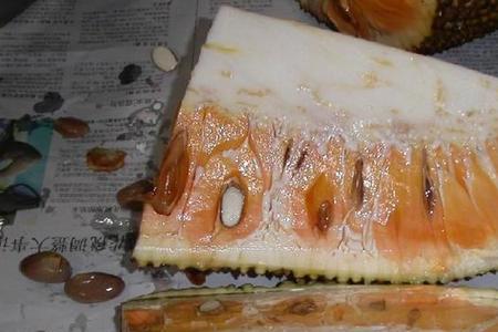 菠萝蜜剥完皮怎么防止它烂