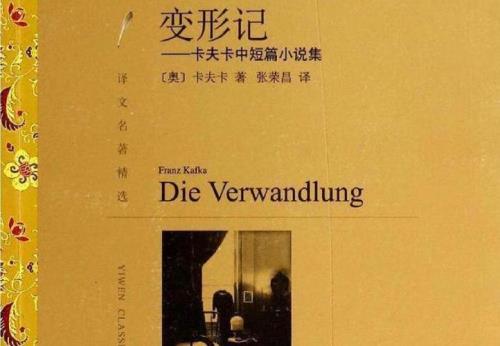 萨姆尔变形记绘本读后感