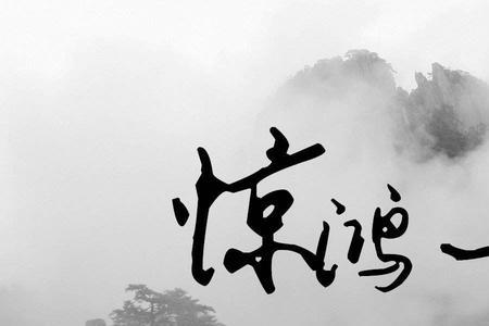 类似惊鸿的名字