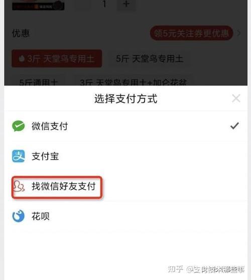 京东好有代付能不能看出来