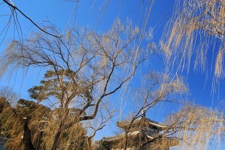 风恬的意思