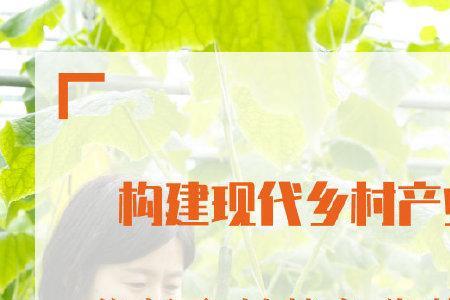 生态振兴乡村主要措施