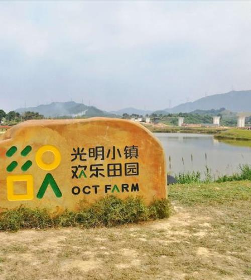 光明小镇欢乐田园要门票吗
