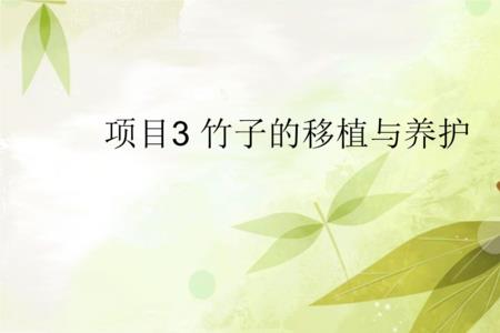 大竹子移种时埋深好还是浅些好