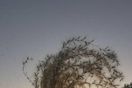 猛然回首什么意思