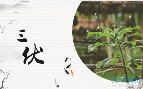 今年入伏是几点几分入的伏