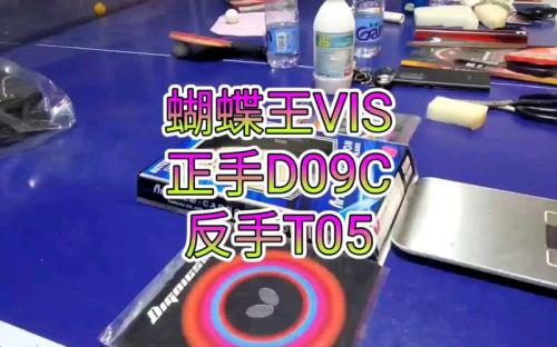 d09c和蓝国狂3哪个好用