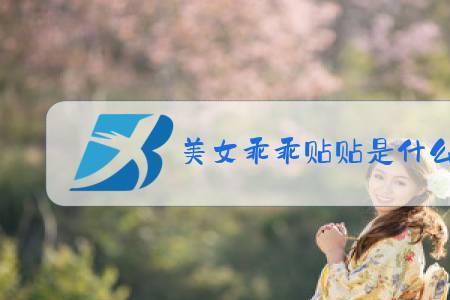 帖帖是什么意思