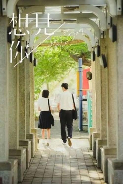 想见你只想见你歌曲意思