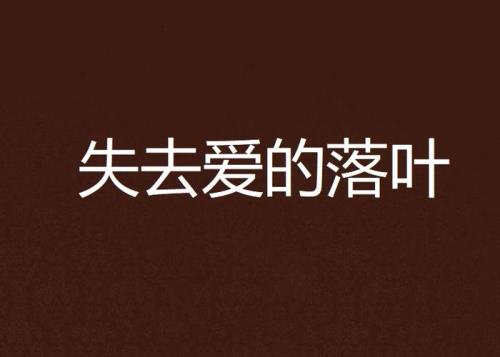 失去爱的城市原唱男声现场版