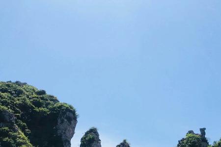 又临其景意思