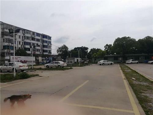 福运驾校通过率最高的教练