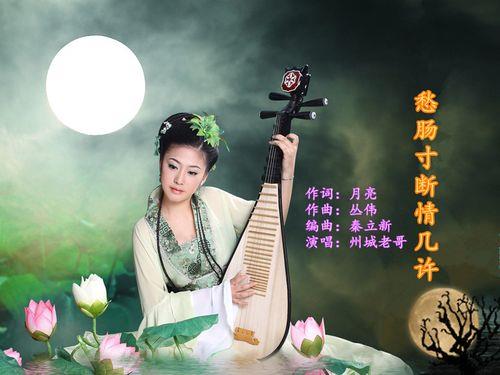 情深有几许是哪年的歌曲