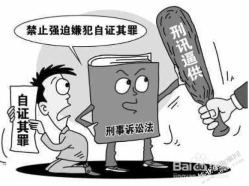 证人享有的权利不包括
