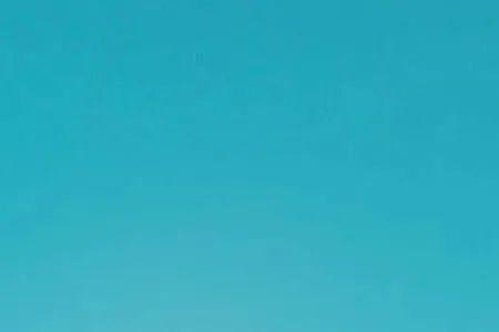 真执与真挚的区别