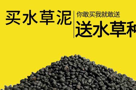 水草基肥怎么放