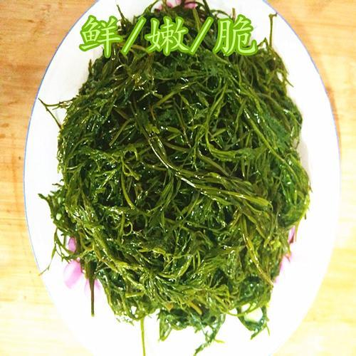 什么菜是长寿菜