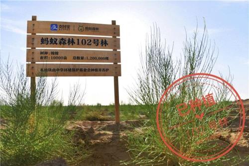 蚂蚁森林248g是怎么产生的