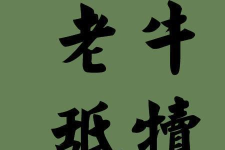 煮羊宰牛是成语吗