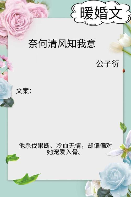 傅衍叶卓简的小说叫什么名字
