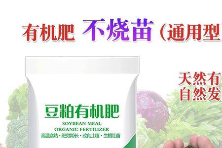 辅根是什么意思